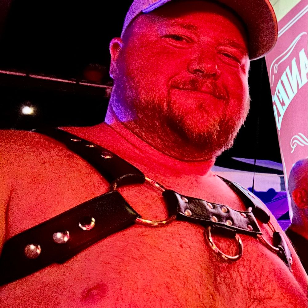 VT bear