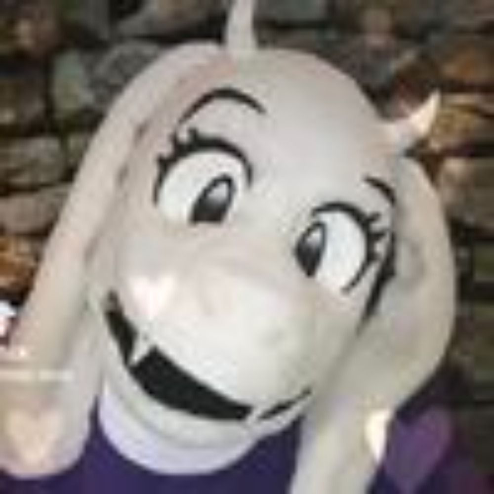 TikTok Toriel