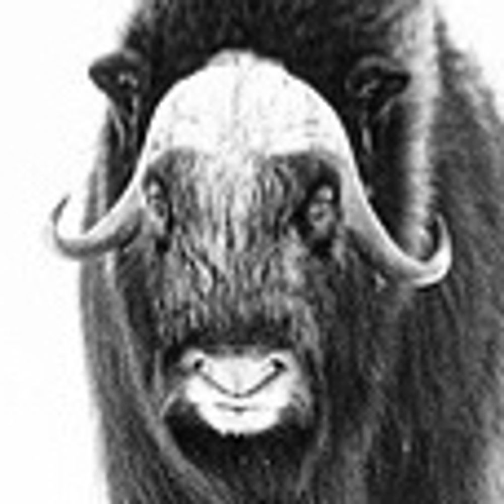 Ole Hjerkinn