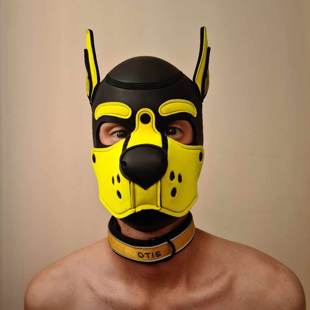 Pup Otis