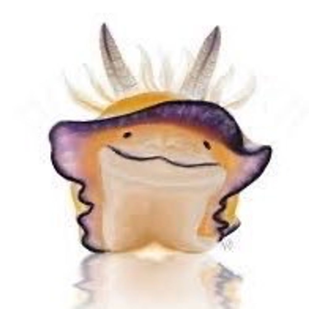 Slug Pizza(COMMS OPEN)
