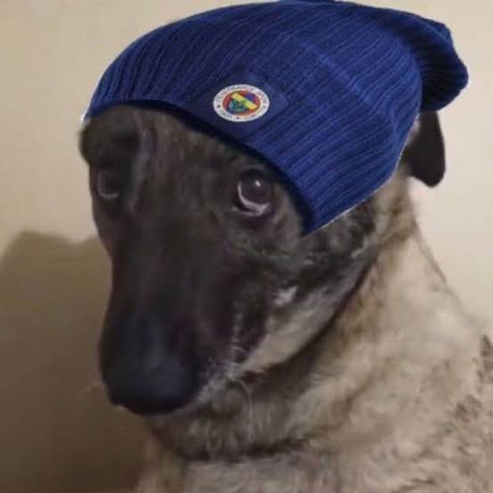 aa