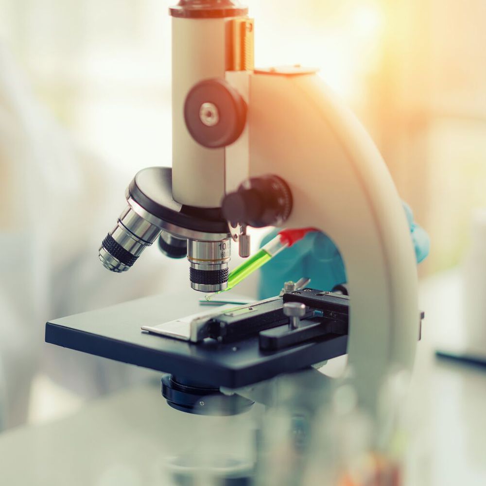 Cancer Research and Therapy