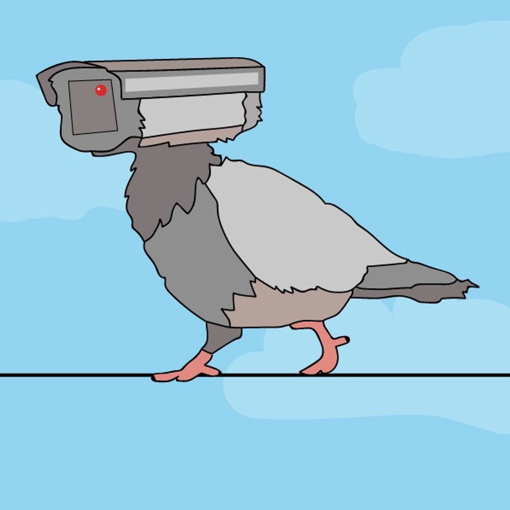 Birds aren’t real 