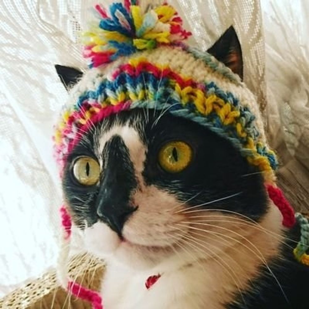ニャオルル