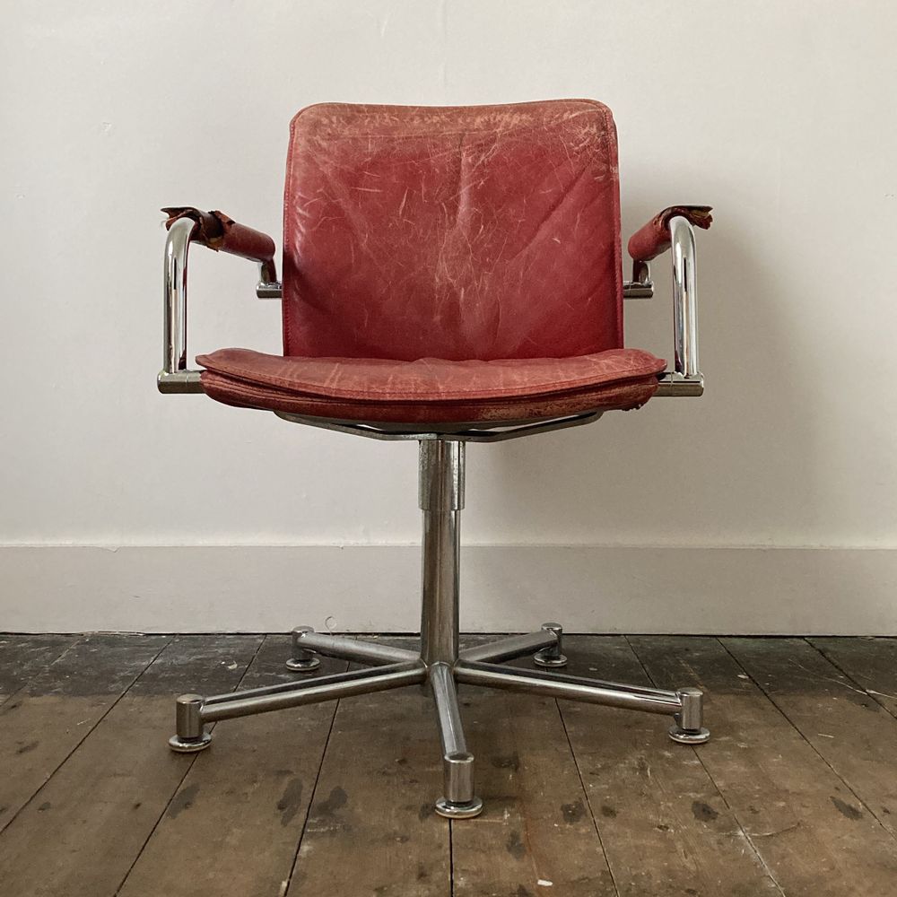 The Scrutineer: Rachael Adams