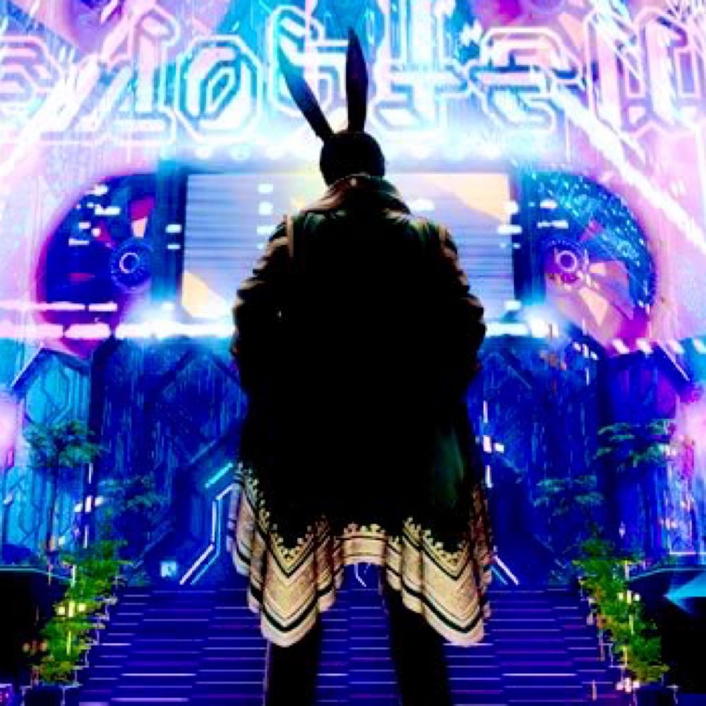 Un!🐰