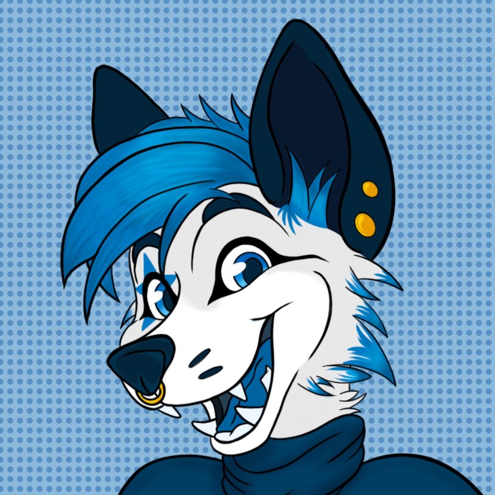 local stellar fox ☆