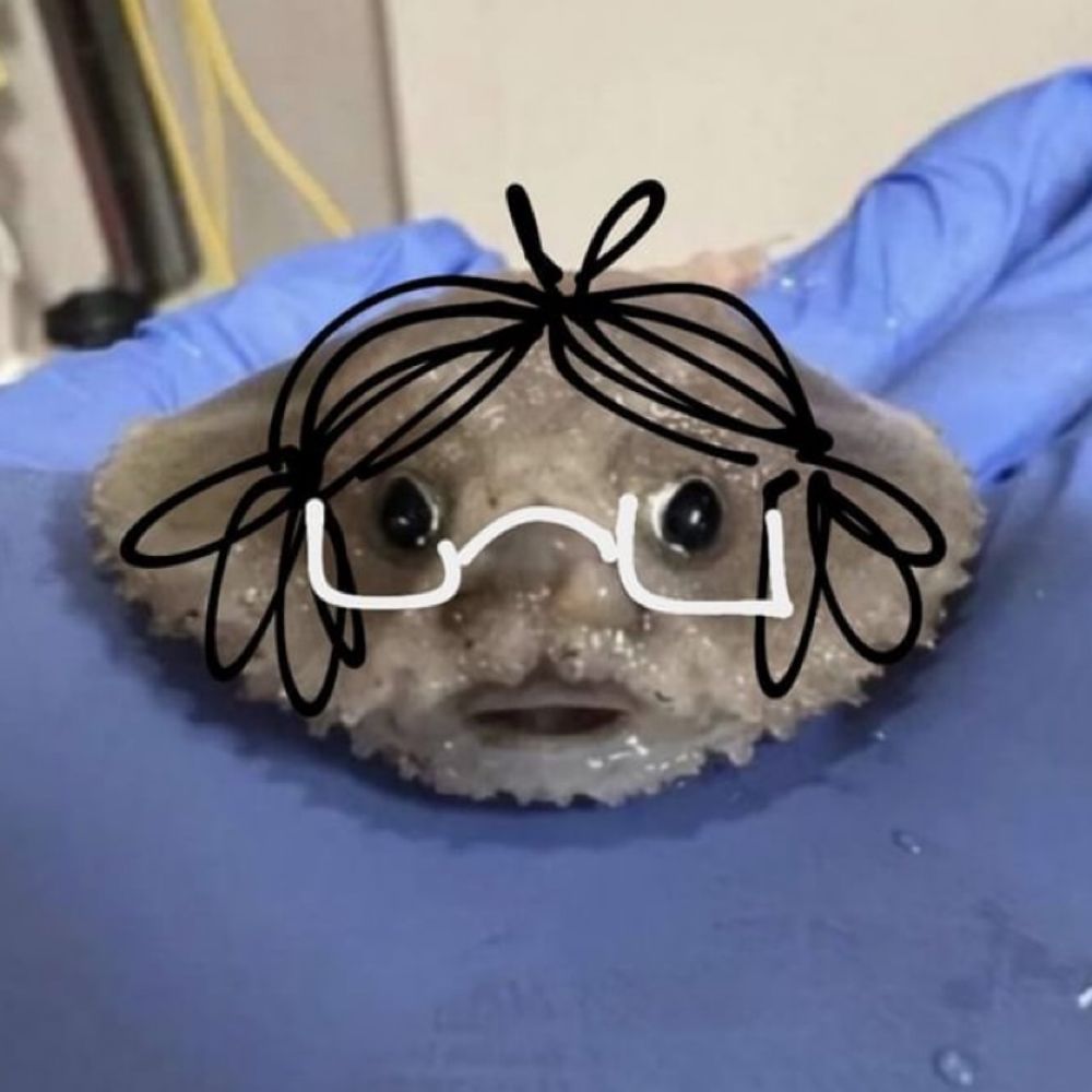 mamchokl