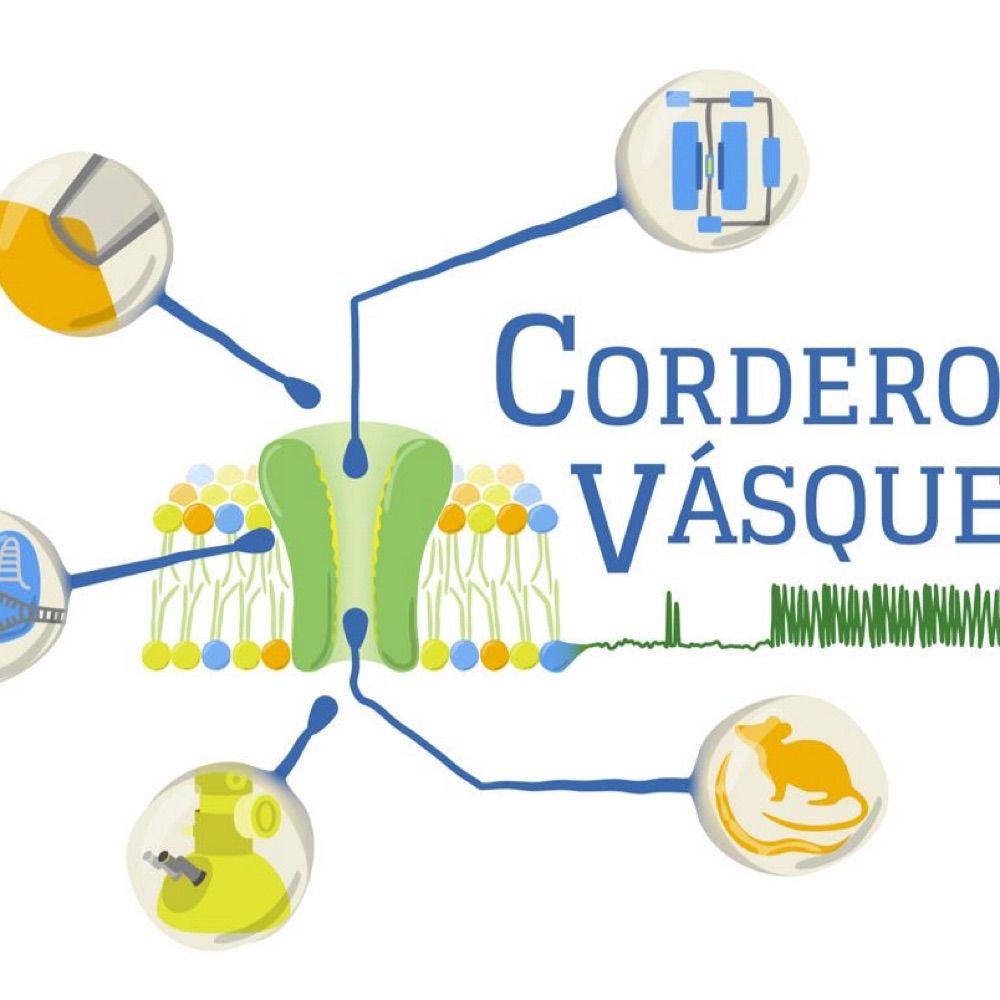 Cordero-Vásquez Lab