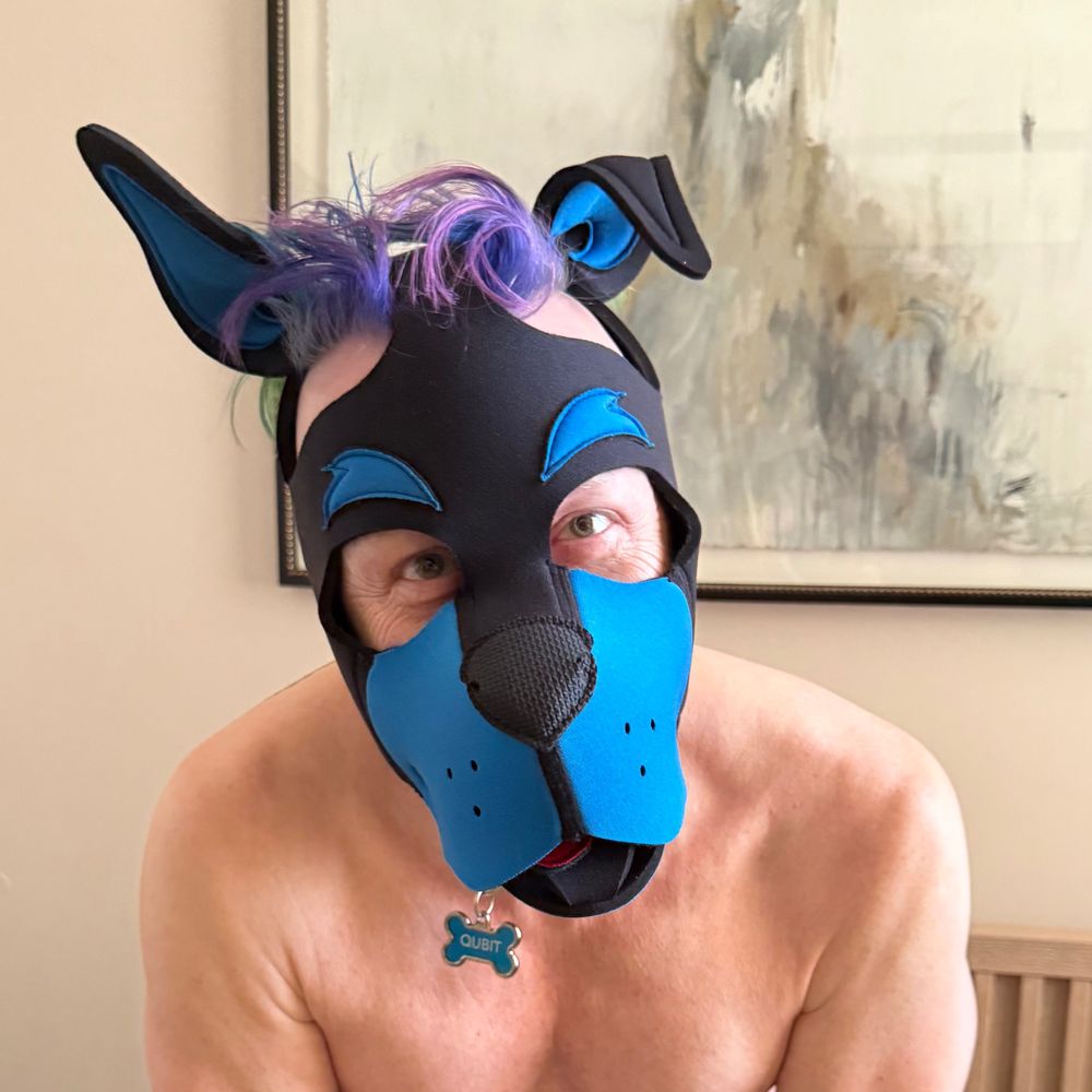 Just a pup named Qubit🏳️‍🌈🔞😵‍💫