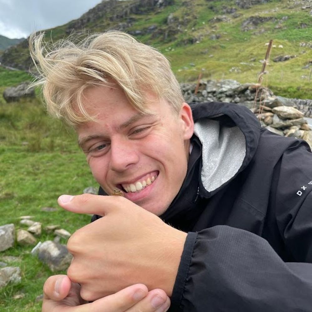 Harry Savage