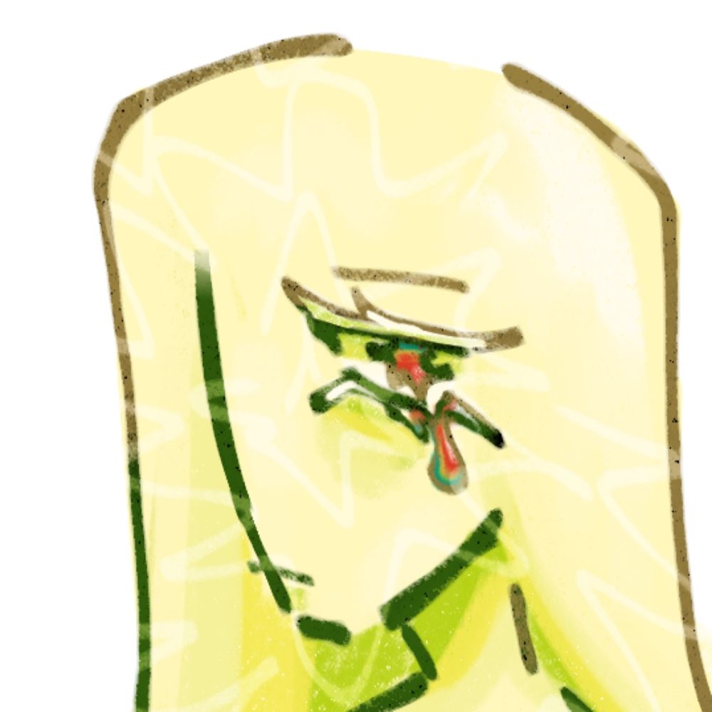 StupidBeetle