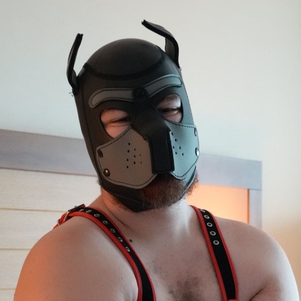Denver Pup Drill Bit  🇵🇸