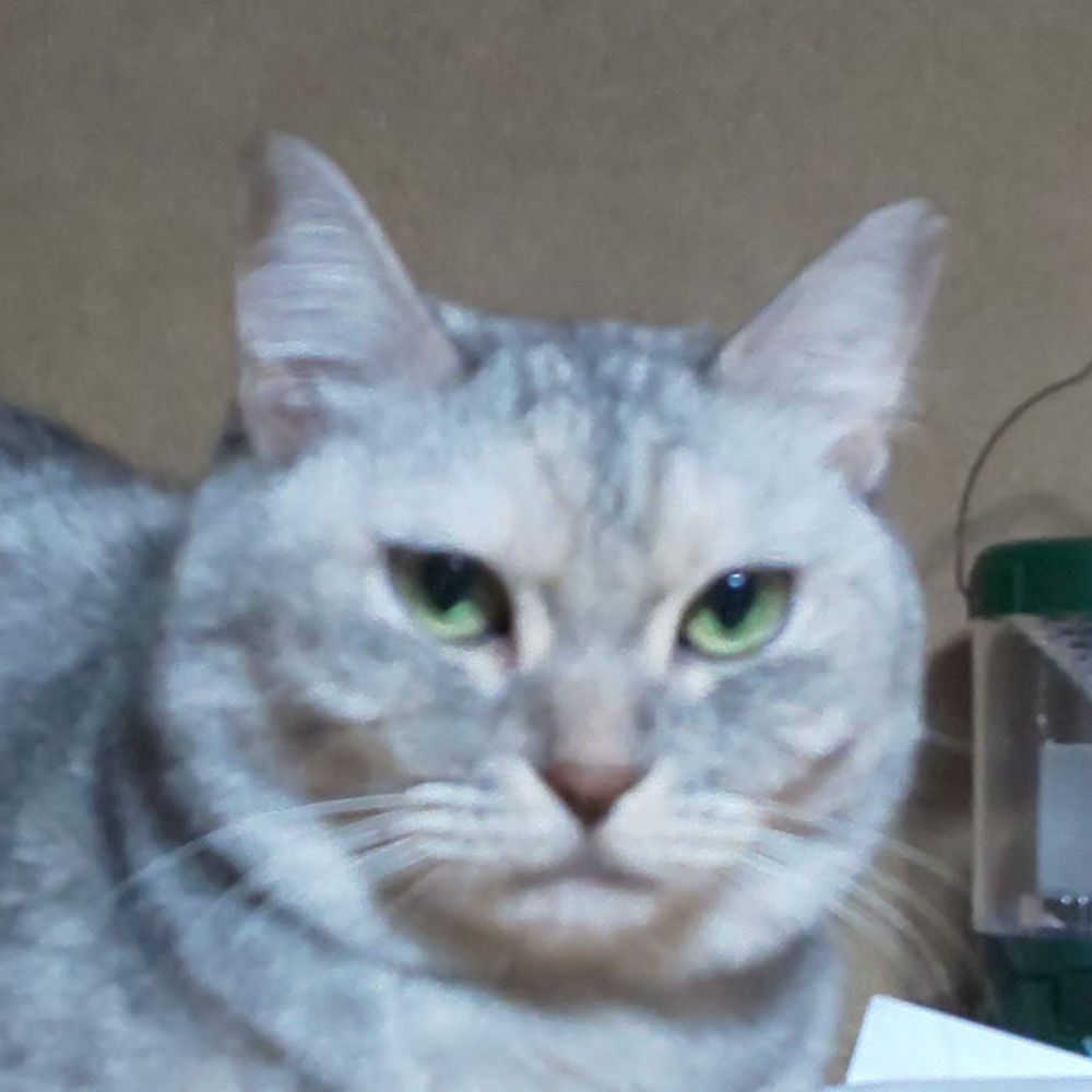 鉄郵おかやま
