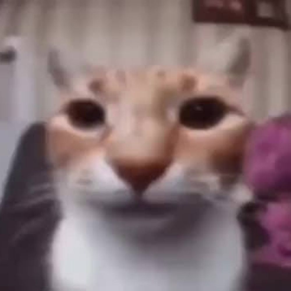 gustavo