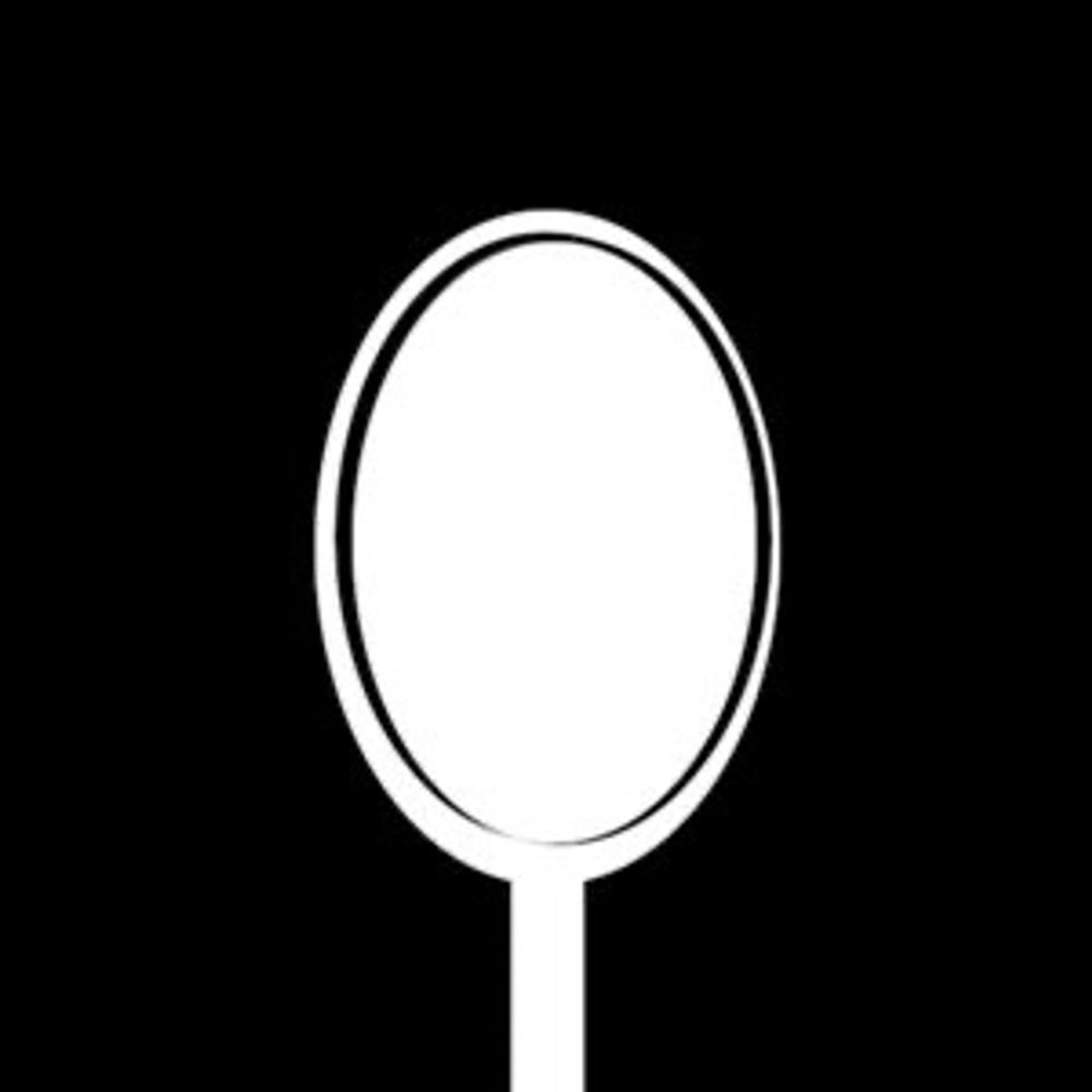 Ignorant Spoon