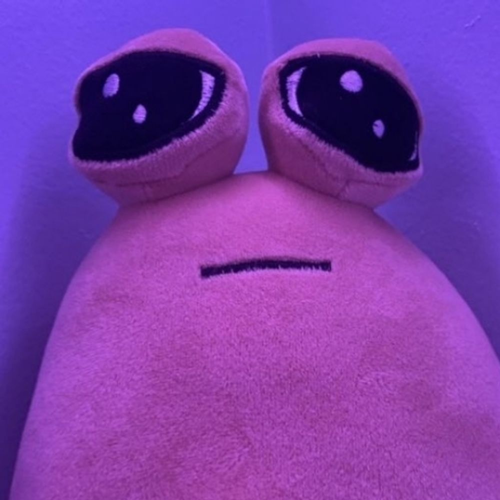 :] 🌙