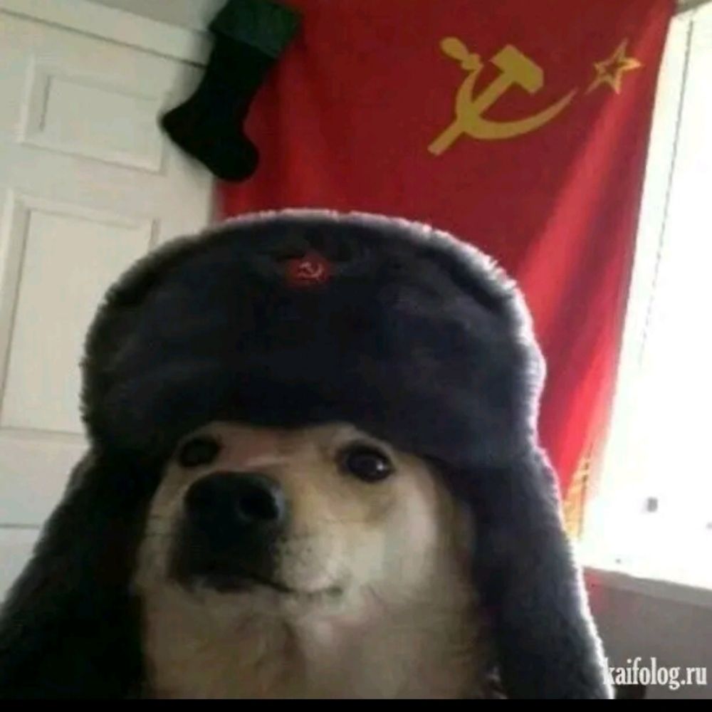 magoga