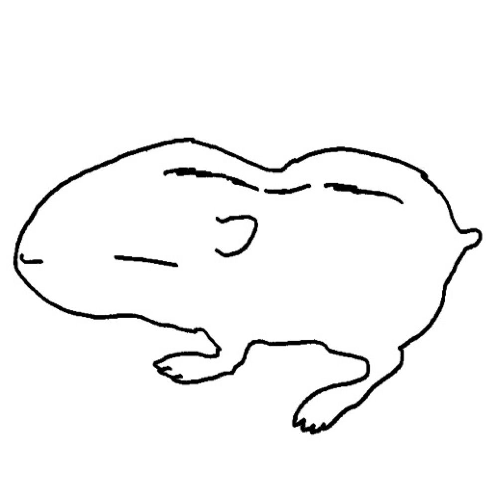 하이쑤/Haisoo