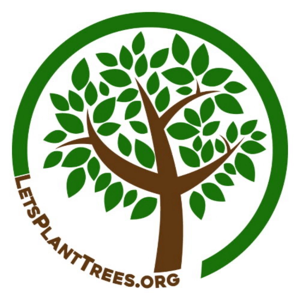 Let’s Plant Trees 🌳🌎🌲