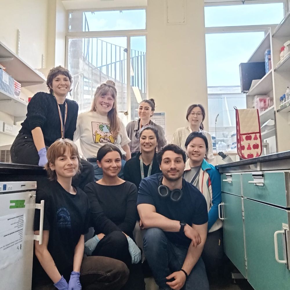 Elena Scarpa & The Squeezable Cells Lab