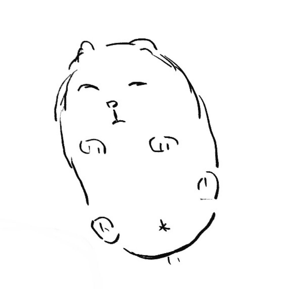 しょうぐん