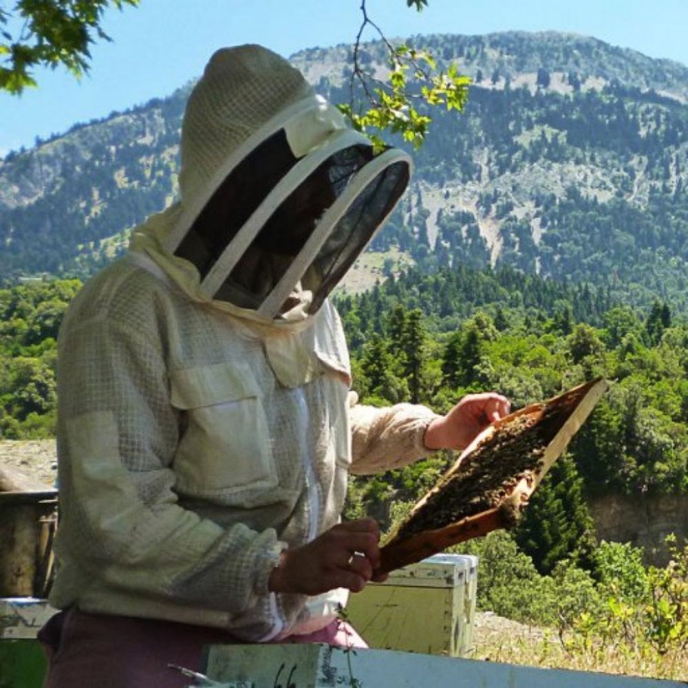 Ορεινό Μέλι