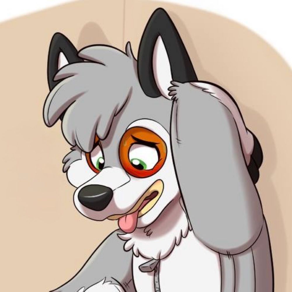 kodi 🦊🐶 🔜 FWA