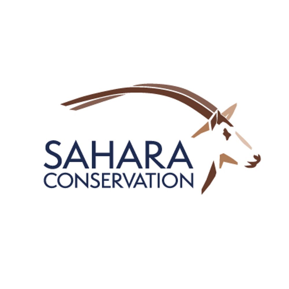 Profile picture saharaconservation.bsky.social