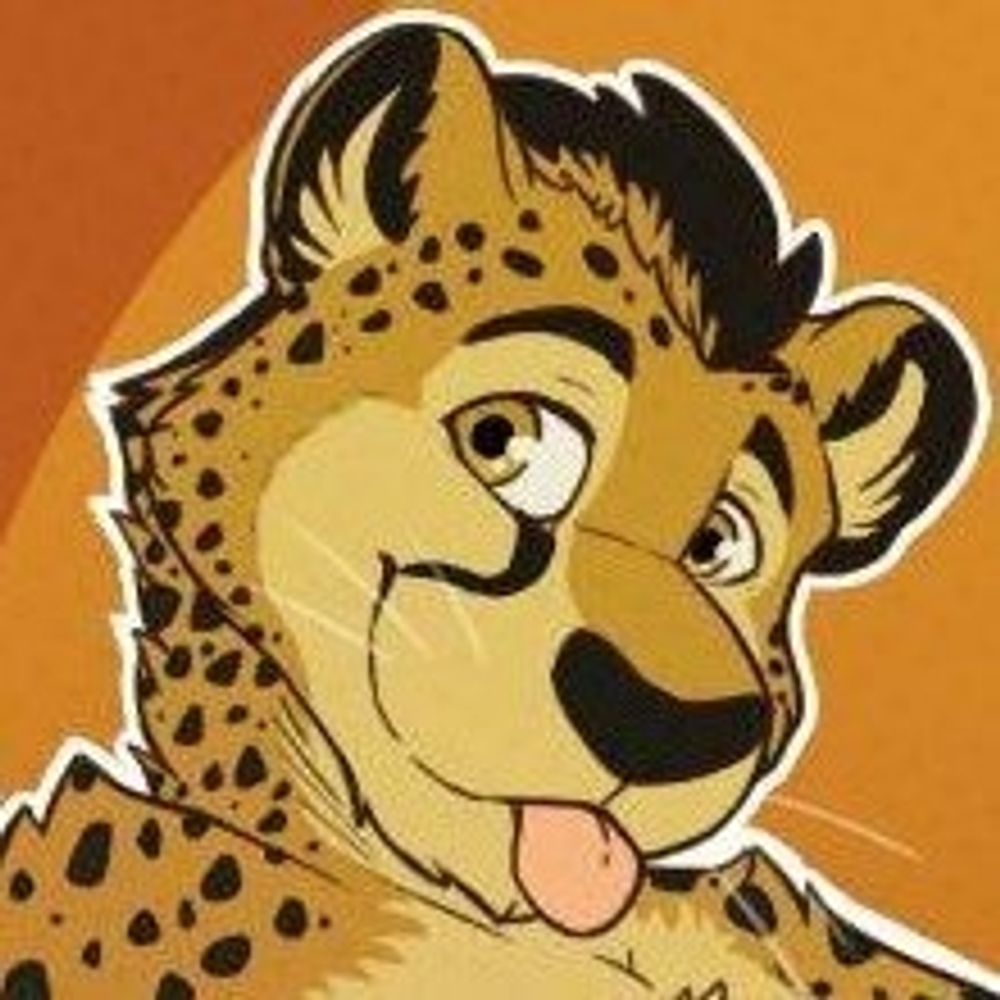 Rallicat's avatar