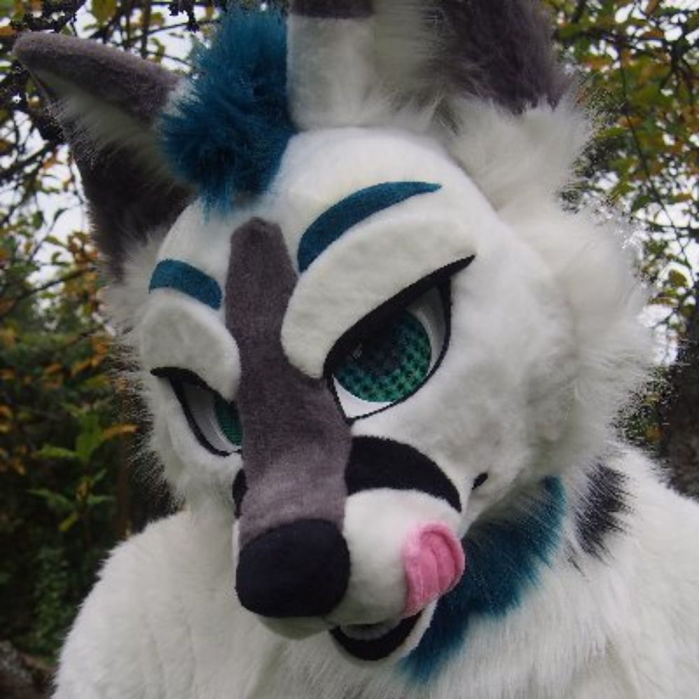 NinjaFox