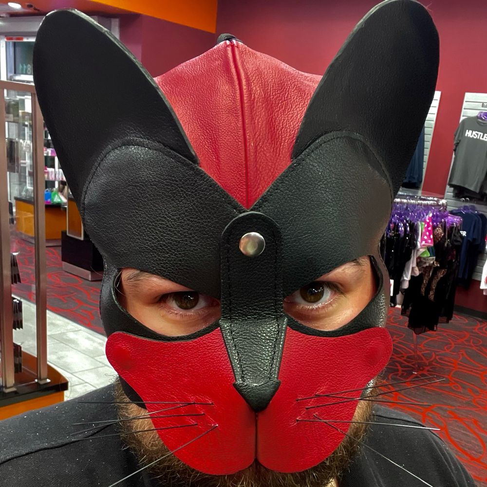 KittnPlayCastor