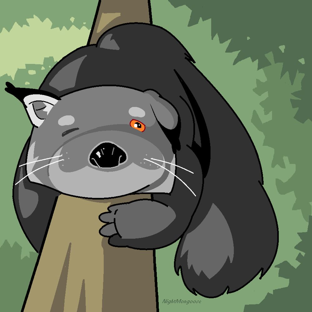 NightMongoose
