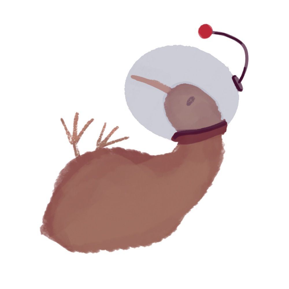 The Kiwi