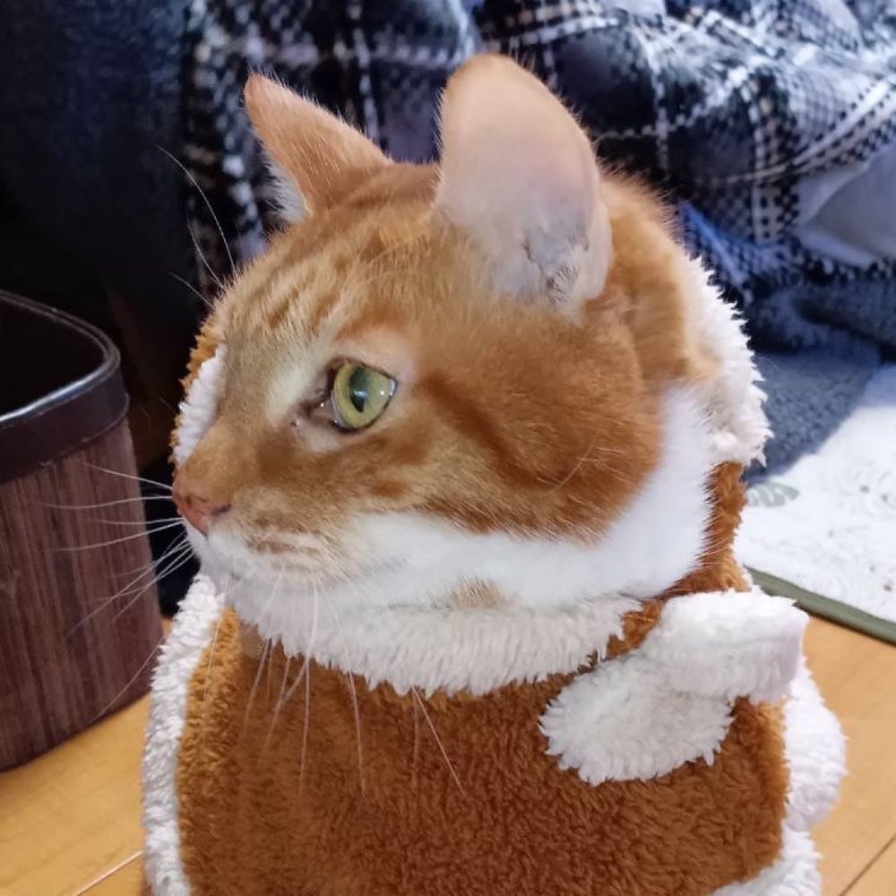 775