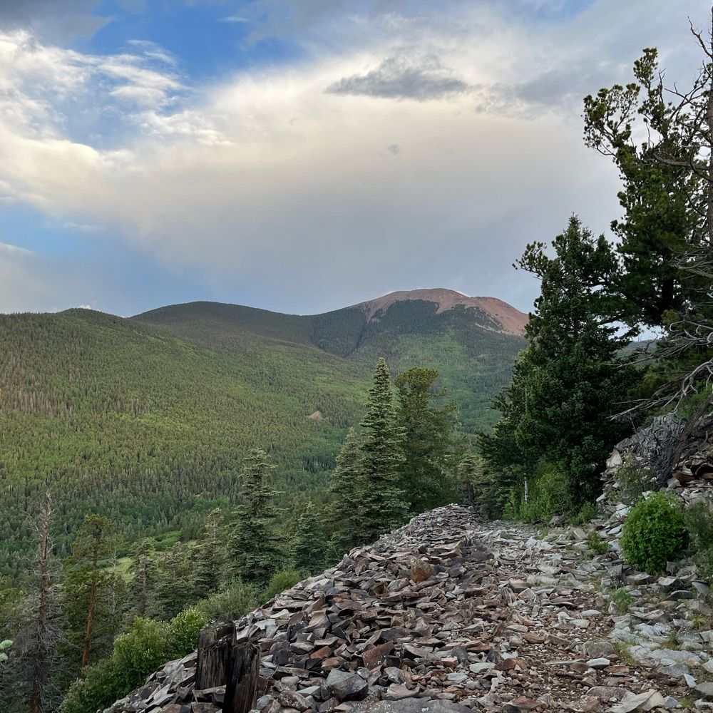 kevwindward.bsky.social