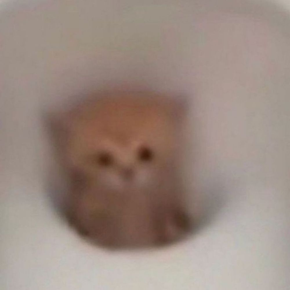 felix