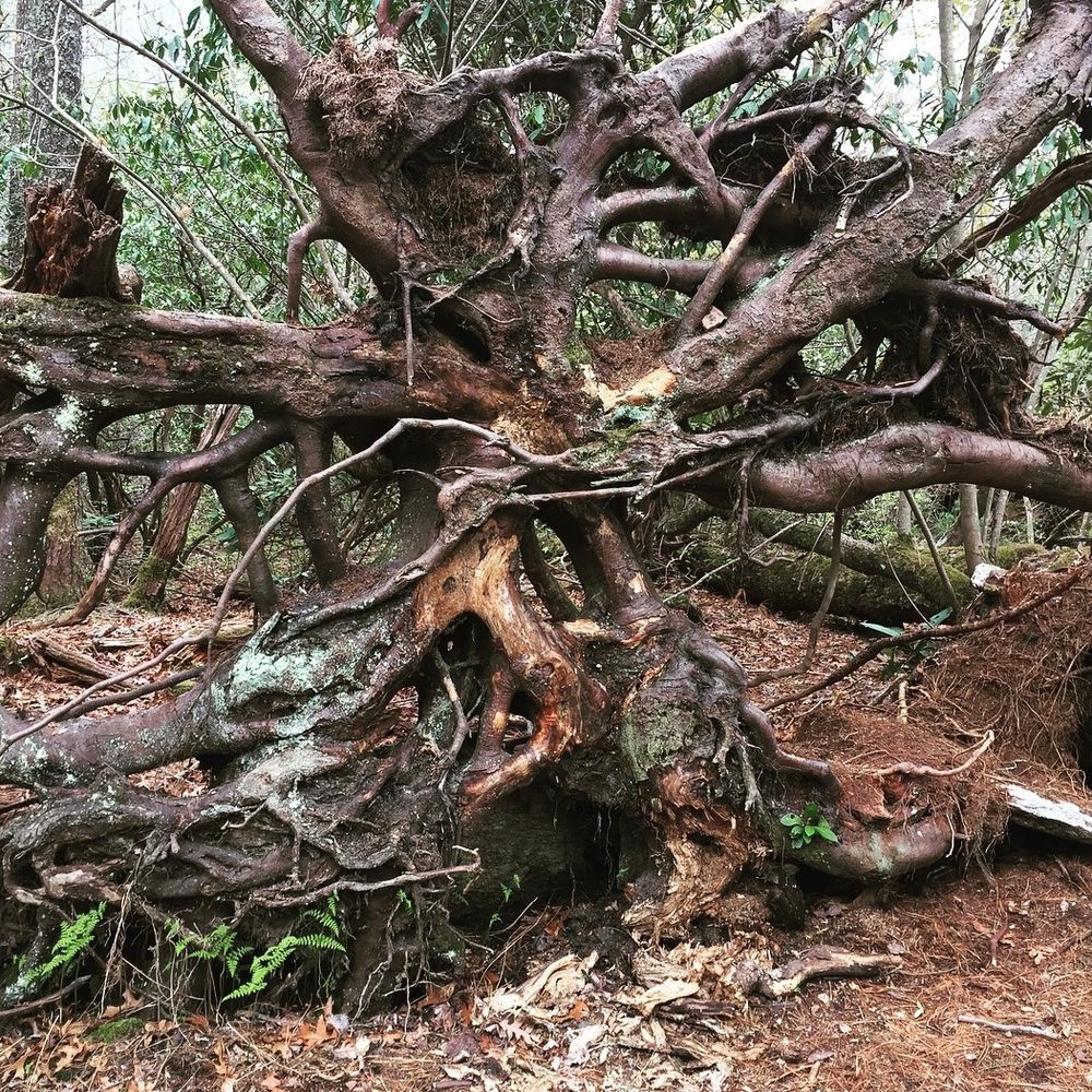 moonadre.bsky.social