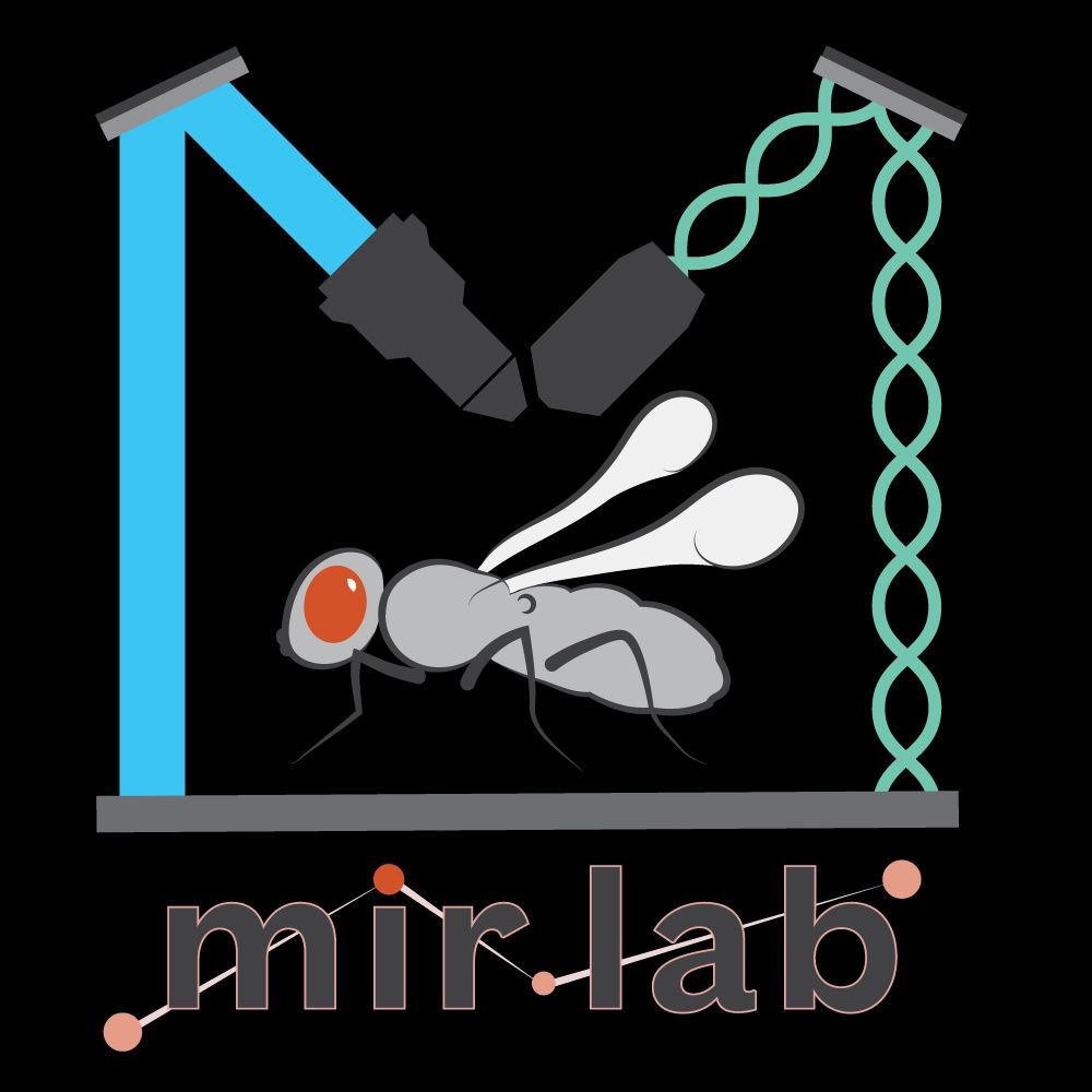 Mir Lab