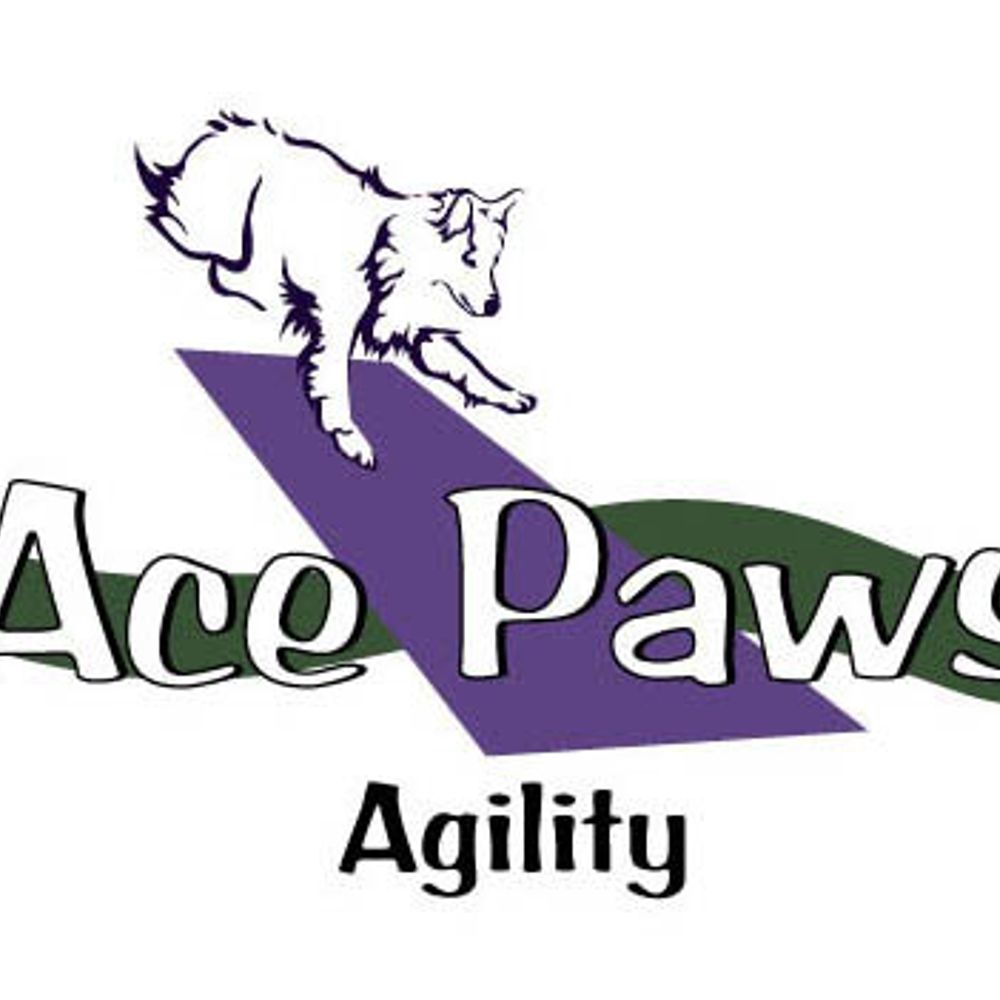 Ace Paws Agility