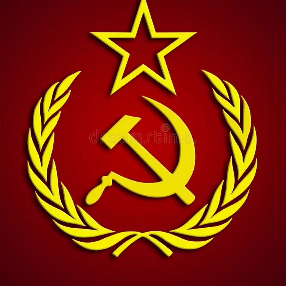 Comunism Lover 🇵🇸🔻
