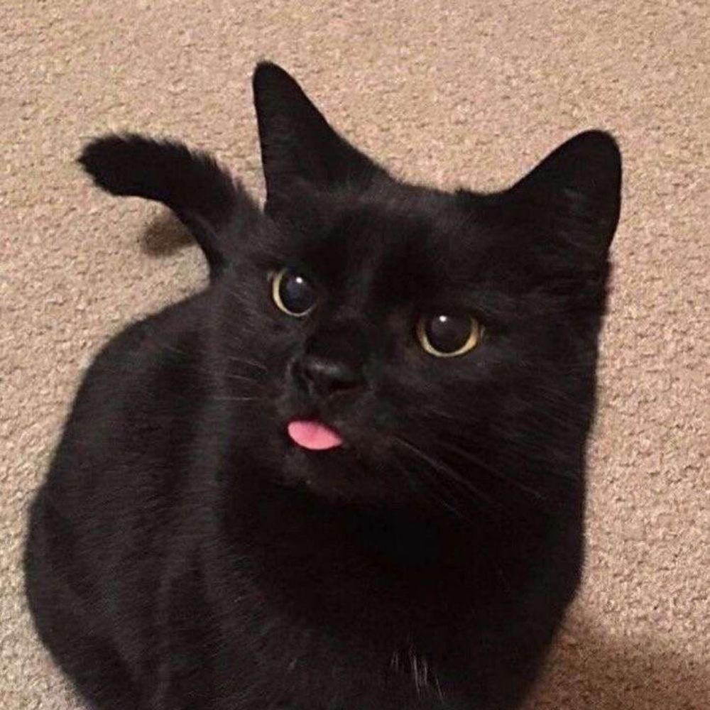 N_n4mnueng