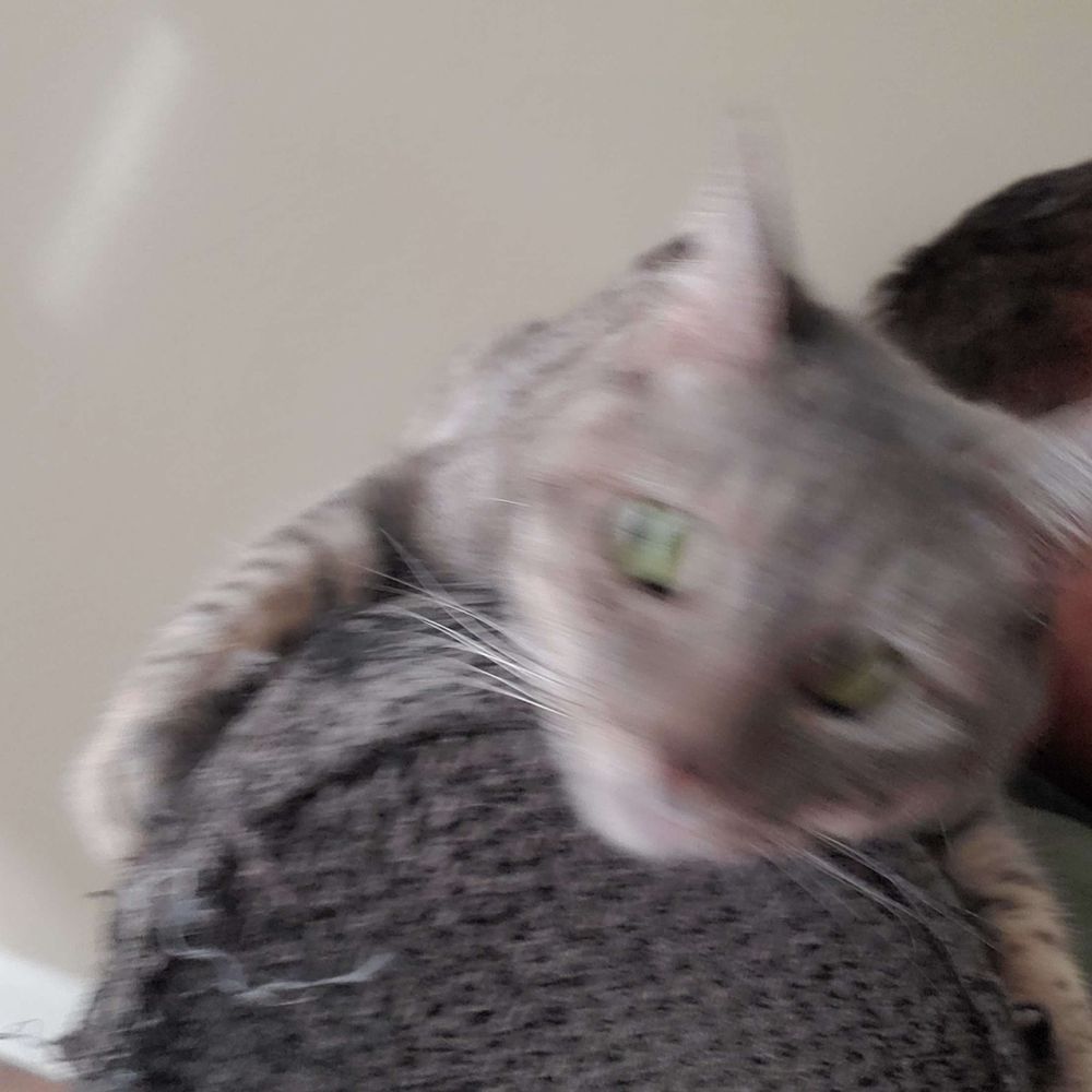 ZeTFaY
