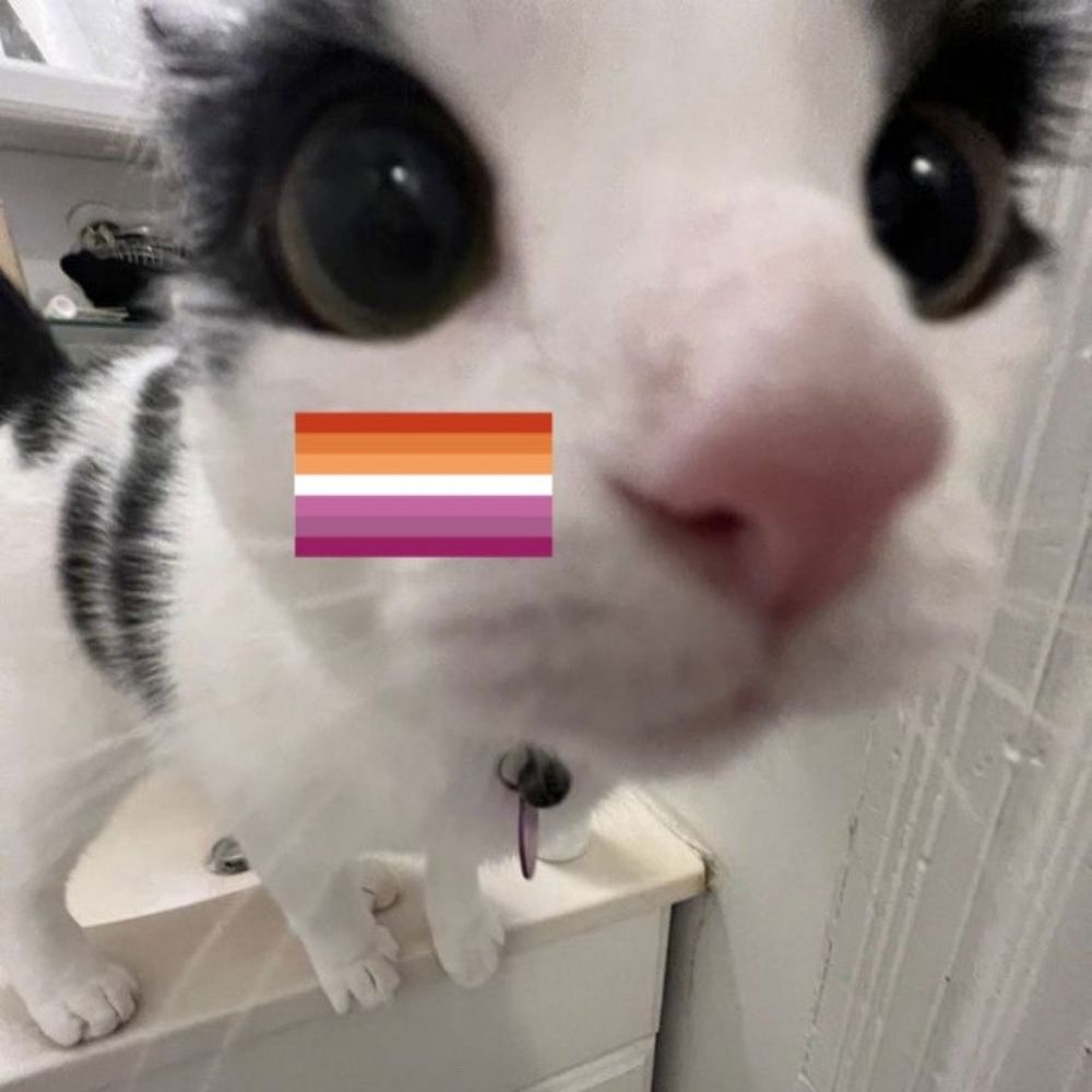 little lesbian intern ias