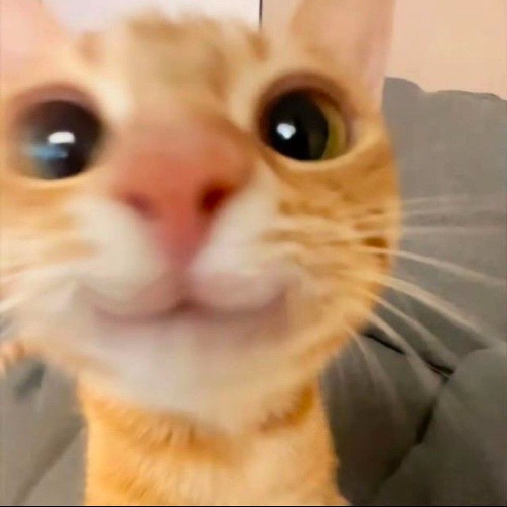 Linus