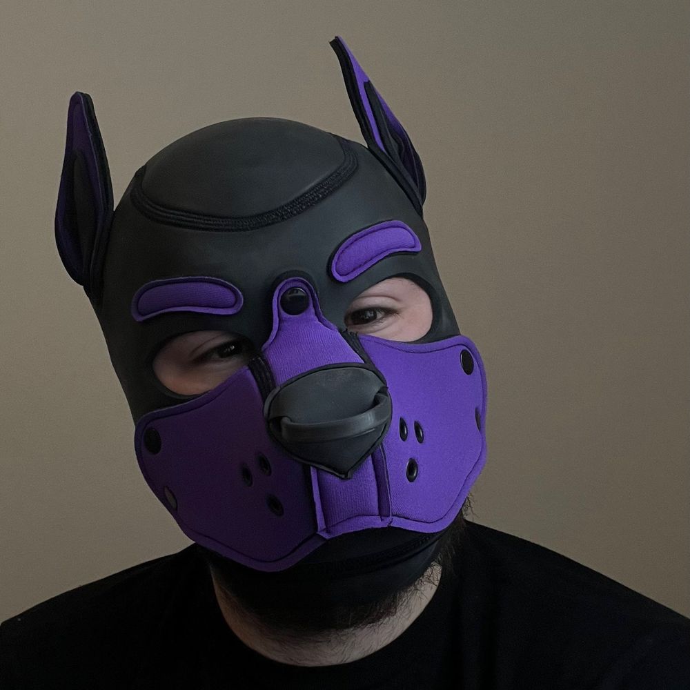 Pup Vector