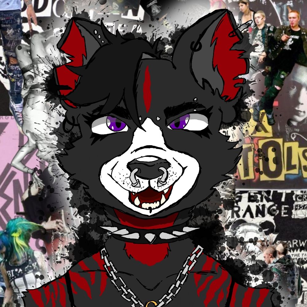 🏳️‍⚧️☠️JETT☠️🏳️‍⚧️