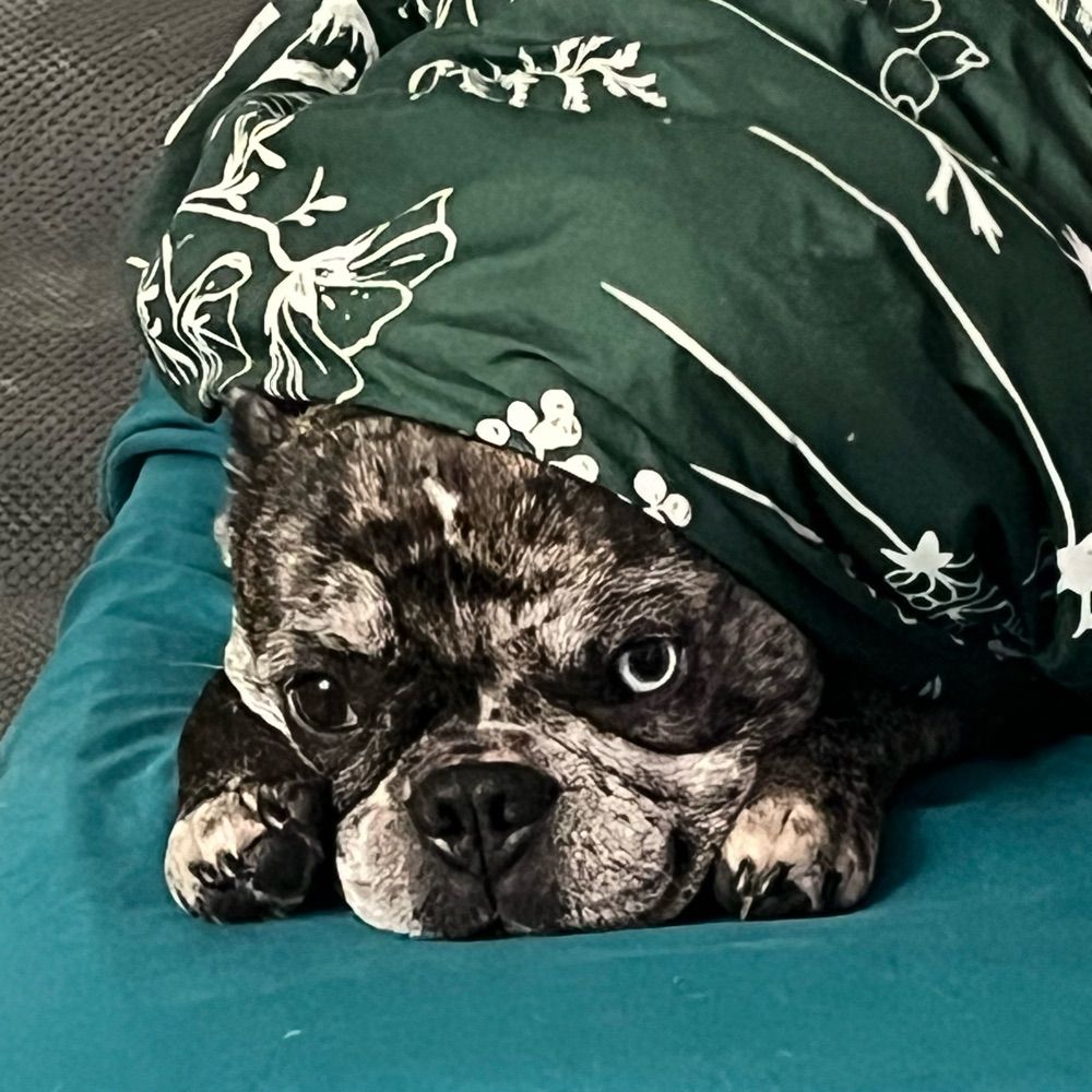 Rocco