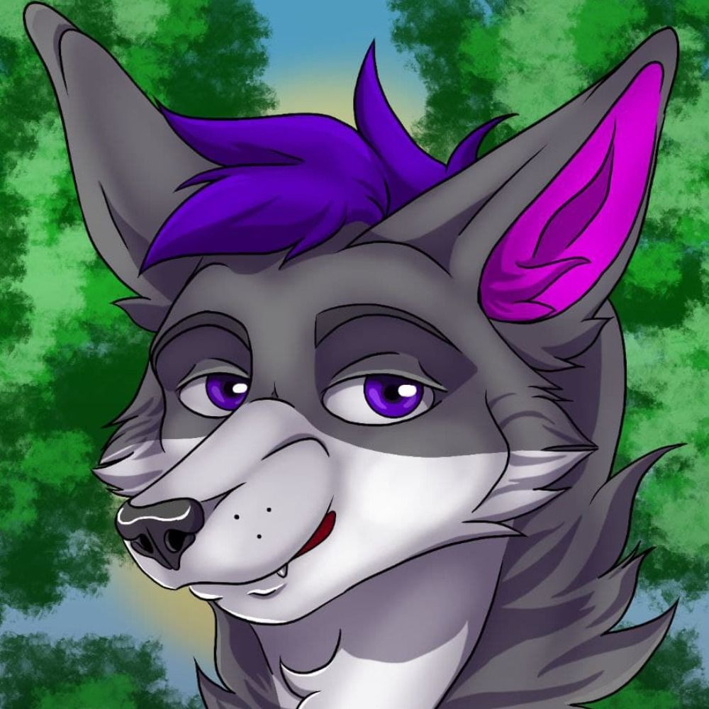 Cuda the Fox